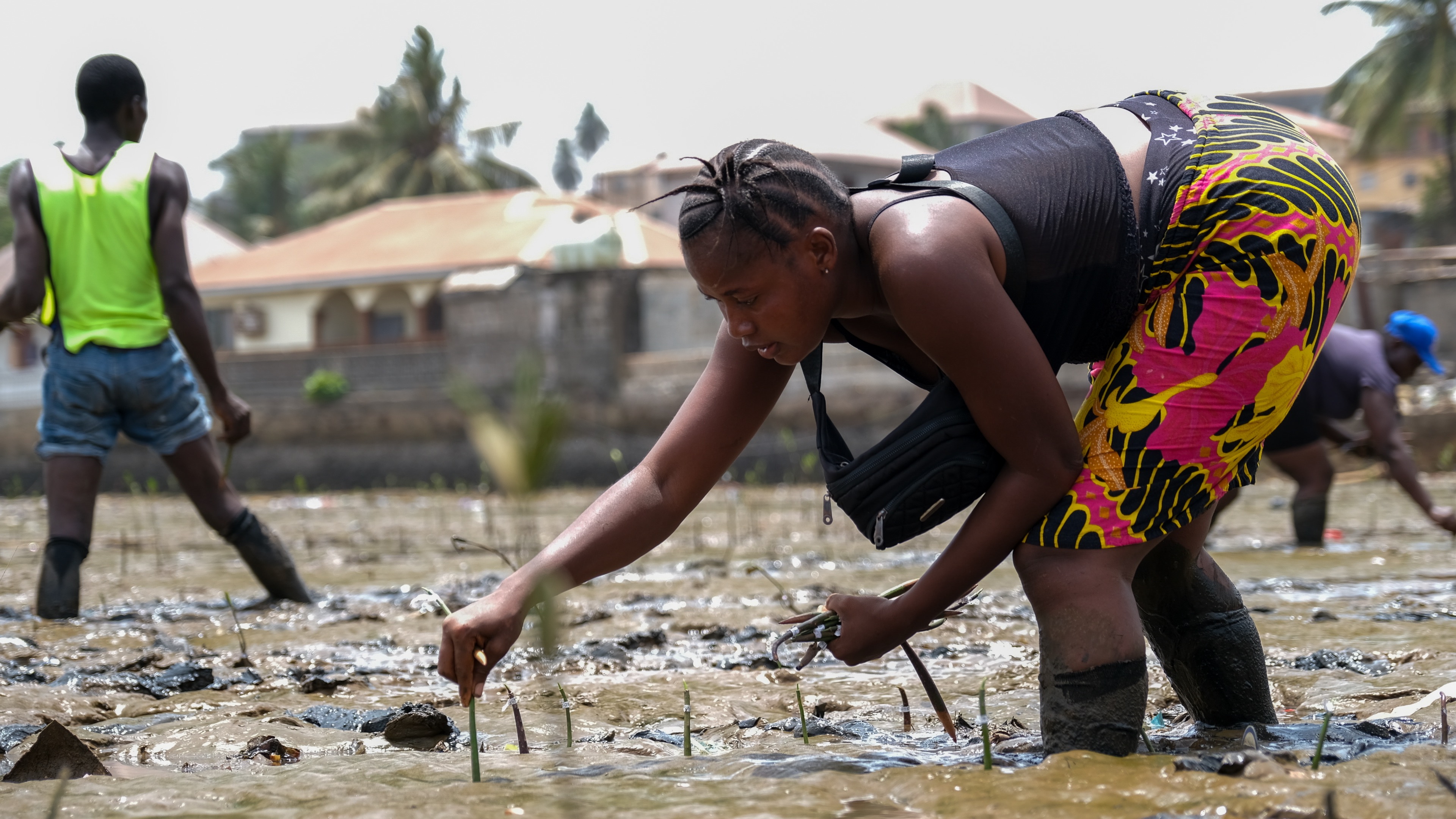 Klimawandel: Warum Freetown