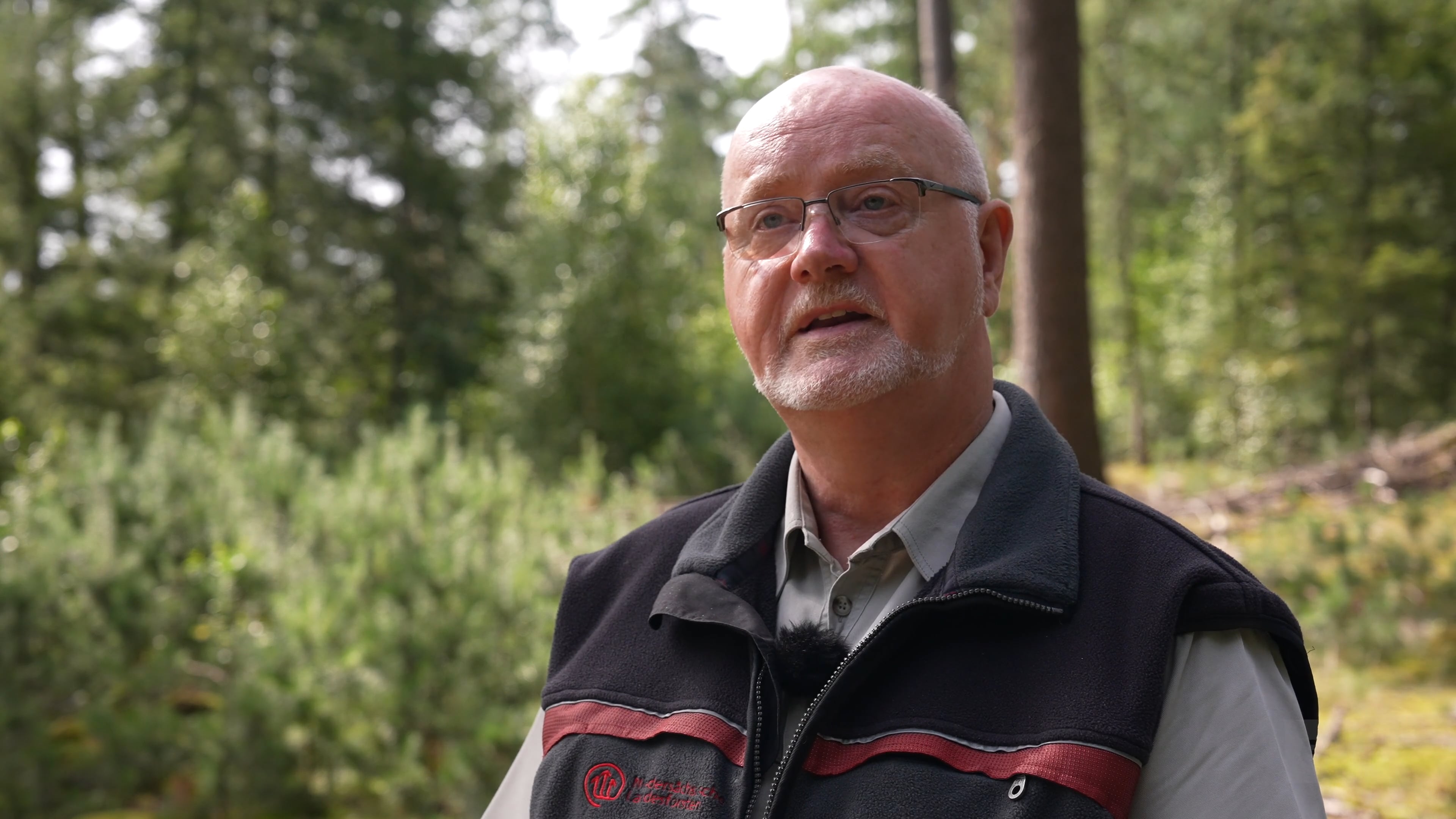 Hohe Waldbrandgefahr: Das